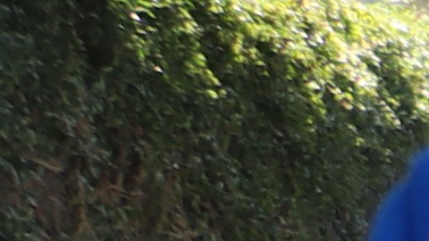 Olga Cabrera se gana la vida vendiendo comida en una banqueta del  Corredor Salvadoreño, sobre la calle Vermont.