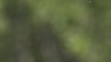Diego Abreu en las categorías formativas de la selección de México.