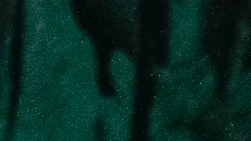 Alexis Vega salió por la puerta de atrás del Rebaño Sagrado.