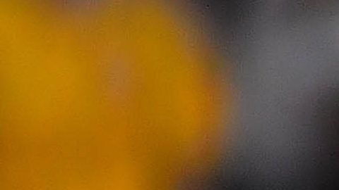 Cristian Calderón jugó más de 100 partidos con las Chivas de Guadalajara.