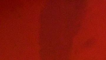 Miguel Herrera, entrenador de los Xolos de Tijuana.