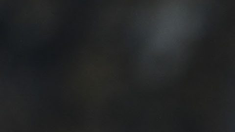 Las actitudes del "Chicote" estaràn bajo observación.
