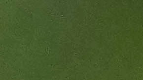 Mario García fue designado como entrenador del Cartaginés en diciembre de 2023.