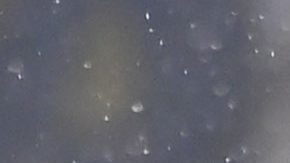 Sebastián Córdova celebra el gol con el que Tigres derrotó a Chivas,