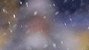 Gilberto Sepúlveda fue trasladado al hospital por precaución.