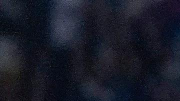 Federico Viñas festeja el gol del triunfo para el León tras despojarse de la playera.