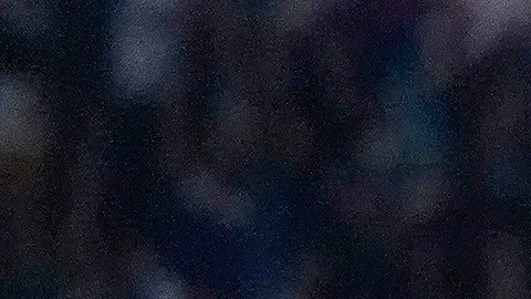 Federico Viñas festeja el gol del triunfo para el León tras despojarse de la playera.