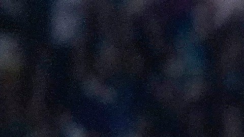 Federico Viñas festeja el gol del triunfo para el León tras despojarse de la playera.
