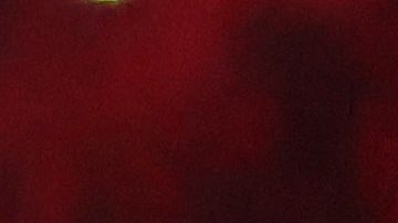 Javier "Chicharito" Hernández.