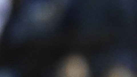 Miguel Herrera en la última derrota de los Xolos ante Cruz Azul.