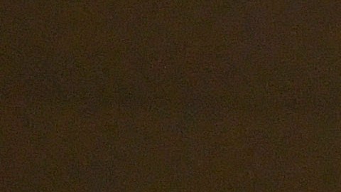Chicharito Hernández asistió al Estadio Akron para ver a su equipo.