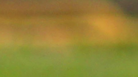 Balón de las tercera división mexicana, donde jugaba Sergio Jáuregui.