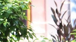 Presentar una solicitud ante el USCIS ahora resulta más sencillo