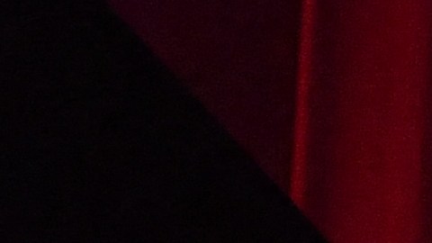 Jack Quaid y Zazie Beetz anunciaron la lista de nominados a los Premios Oscar 2023.