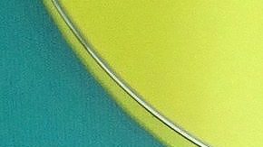 José Eduardo Derbez y Paola Delay en México.