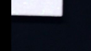 Karol G y Elena Rose, artistas latinas.