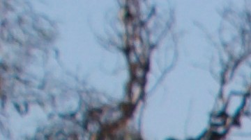 El concejal Kevin de León vuelve a ser parte de los comités del concejo de Los Ángeles.(Cortesía Oficina Kevin de León)