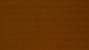 Nancy Pelosi, representante demócrata