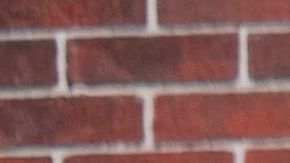 Foto: Sesame Place San Diego