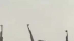 Sicarios del Cártel de Chiapas