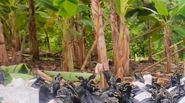 Decomiso de droga en Ecuador