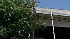 Violencia en México