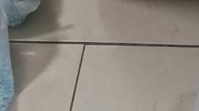 Decenas de miles de estadounidenses mueren a causa del tráfico de drogas ilegales como el fentanilo.