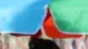 Los vendedores ambulantes de comida tendrían que regular sus actividades en el Condado de Los Ángeles.