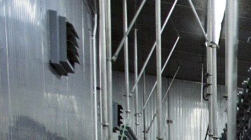 Autoridades declaran culpable a planta avícola donde menor inmigrante murió succionado