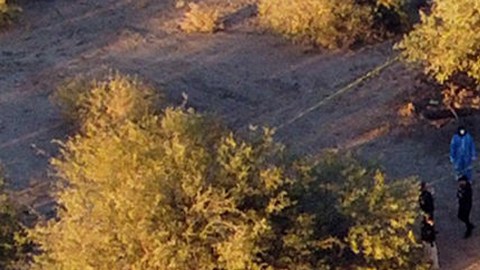 Desierto de Sonora