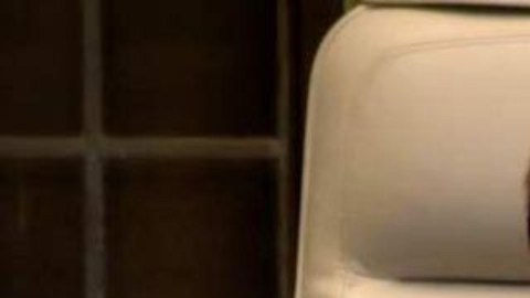 La jueza Joan Donohue, presidenta de CIJ, leyó el fallo.