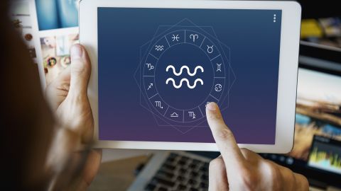 ciclo de acuario