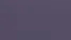 El hombre ruso llegó a Los Ángeles el 4 de noviembre procedente de Copenhague.