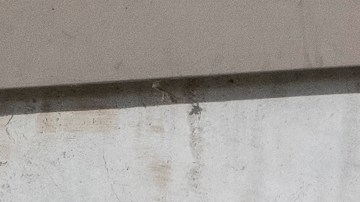 Flores, una vela y un corazón en honor las víctimas del tiroteo en el 2023.