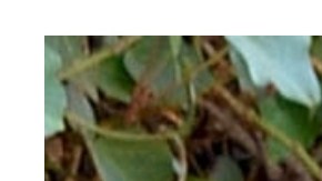 Anette Cuburu y Andrea Legarreta