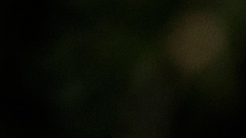 Biden visitó el sur de Florida para realizar eventos de recaudación de fondos para las elecciones.