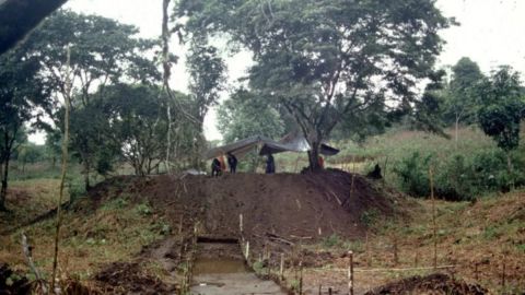 Los científicos encontraron evidencia de 6.000 montículos que se cree que son la base de hogares antiguos.