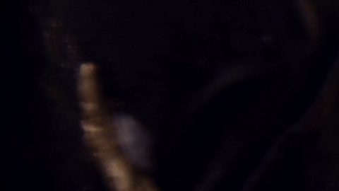 soñar con brujería