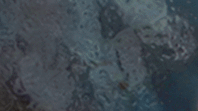 c1d76350-b15c-11ee-8f07-bbfdfa890097