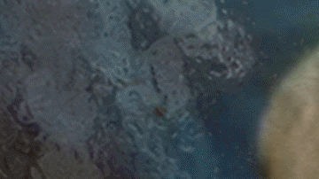 c1d76350-b15c-11ee-8f07-bbfdfa890097