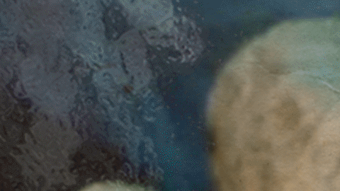 c1d76350-b15c-11ee-8f07-bbfdfa890097