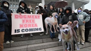 Corea del Sur aprobó una ley que prohíbe a partir de 2027 la venta de carne de perro.