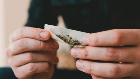 Estudio confirma que el cannabis activa las neuronas del apetito en el cerebro