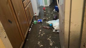 La casa de Karla Castro, fue una de las afectadas por las inundaciones en San Diego. (Cortesía Karla Castro)