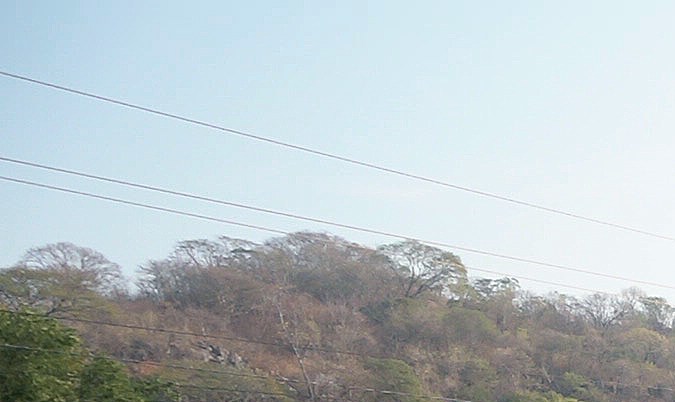 Miles de migrantes con los pies cubiertos de llagas, deshidratados y hambrientos suplican a México “corredor humanitario”