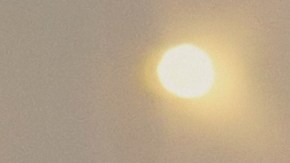 signos recibirán declaración amor