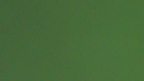 año del dragón feng Shui