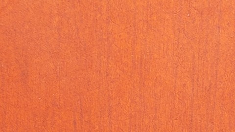 horóscopo año dragón