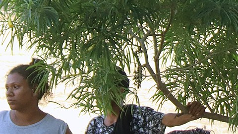 Migrantes permanecen en un campamento improvisado en el municipio de Huixtla, en Chiapas.