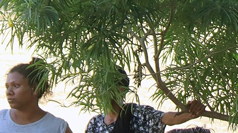 Migrantes permanecen en un campamento improvisado en el municipio de Huixtla, en Chiapas.